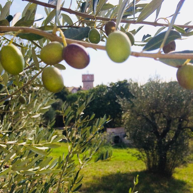 Bed and Breakfast La Lanterna Avigliano Umbro Экстерьер фото
